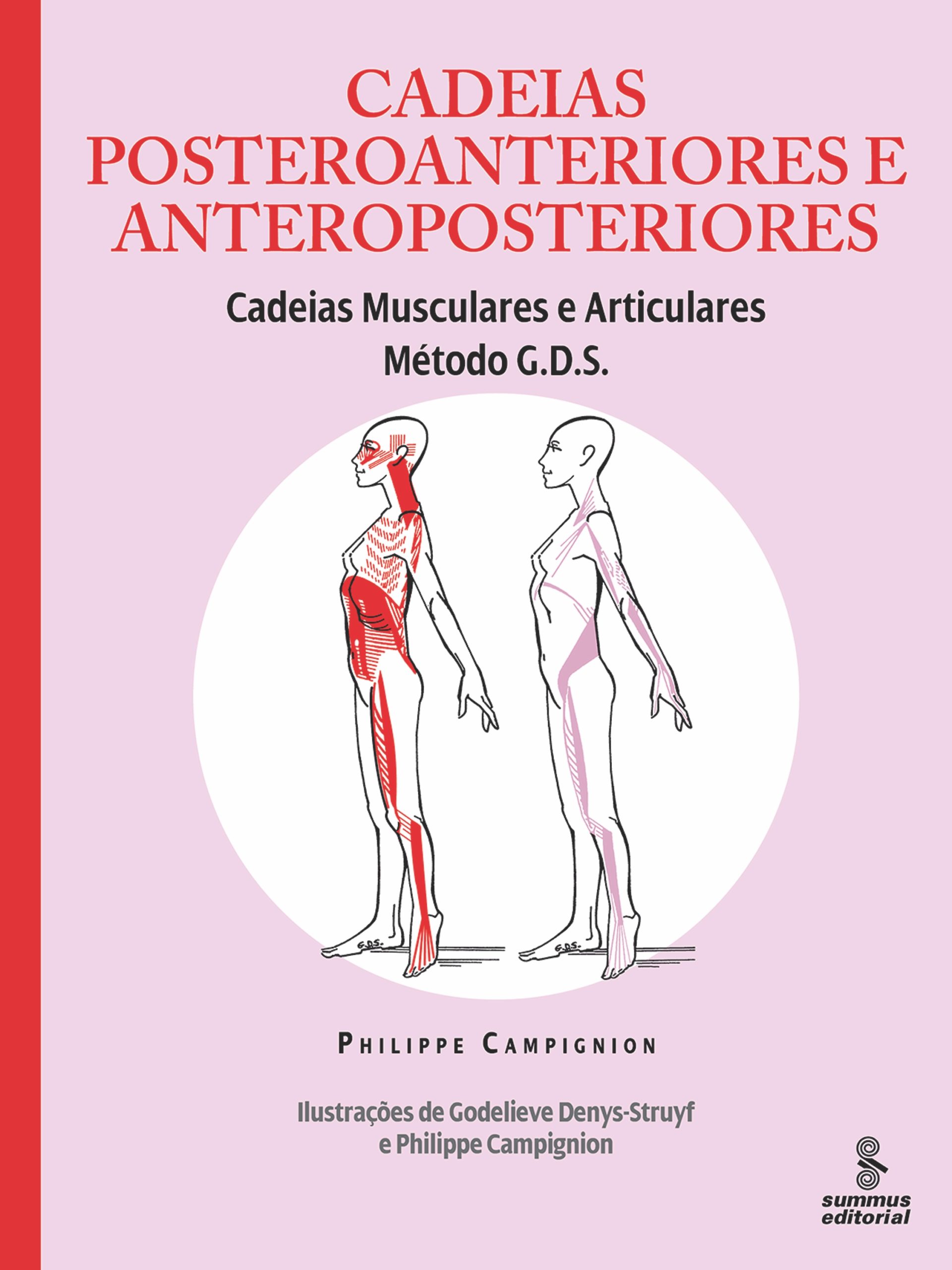 Classificação das Cadeias Musculares - Faça Fisioterapia